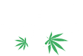 British CBD Hemp Skincare Cosmetics